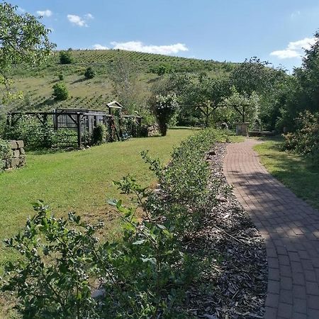 Monteurunterkunft Maria Freital Exteriör bild