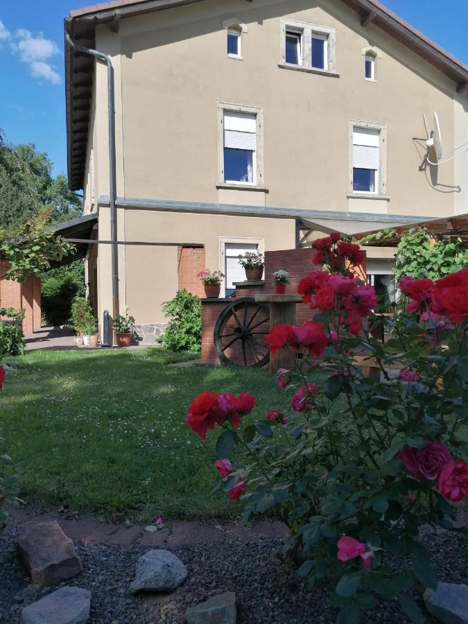 Monteurunterkunft Maria Freital Exteriör bild