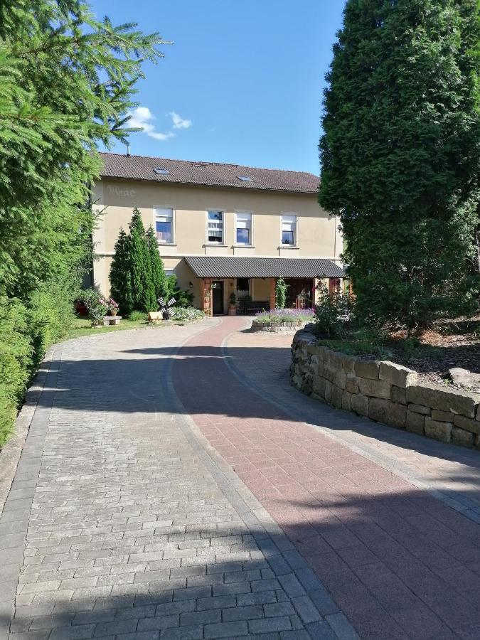 Monteurunterkunft Maria Freital Exteriör bild